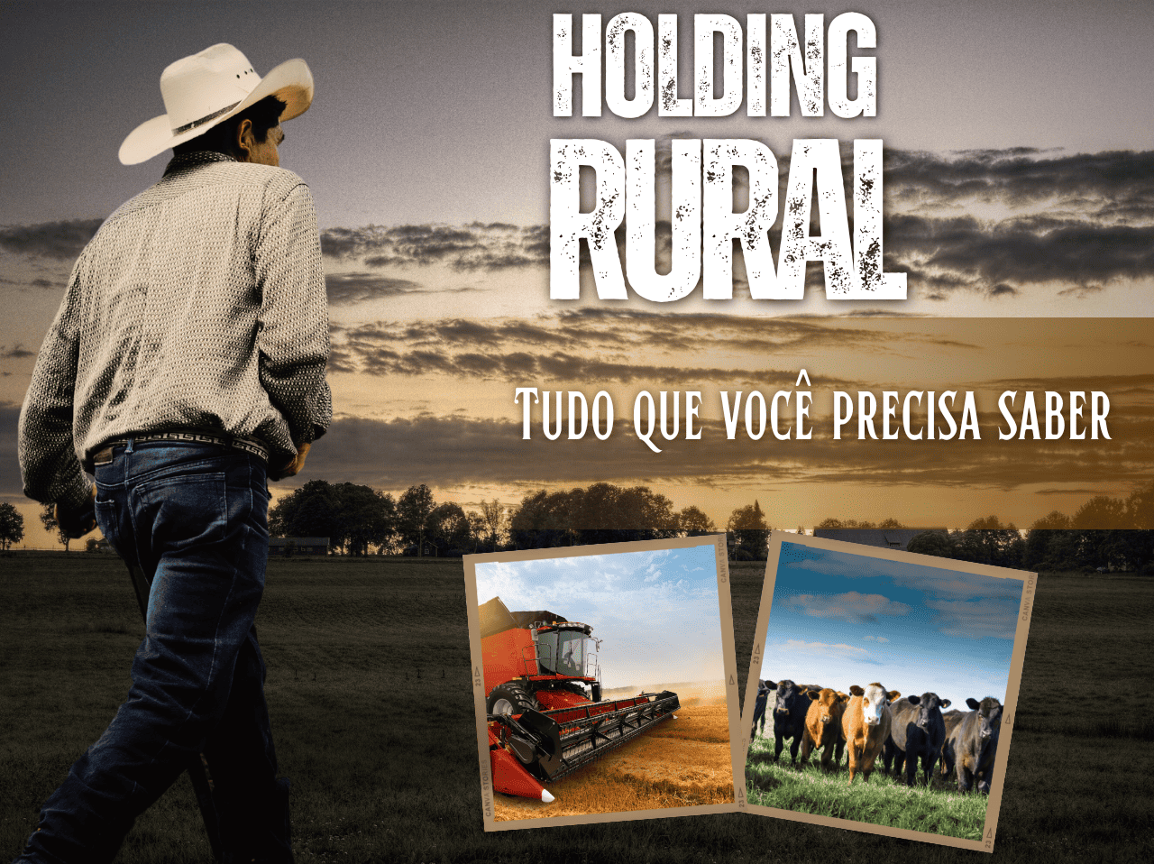 You are currently viewing <strong>HOLDING RURAL: Tudo o que você precisa saber</strong>